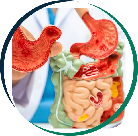 Sistema Digestivo - Atendimento Integrado