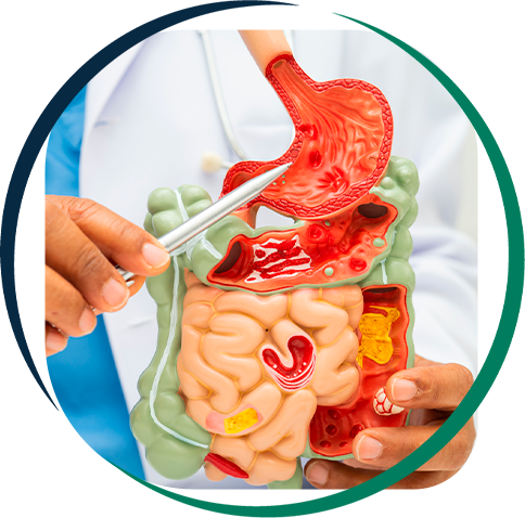 Gastroenterologia e Cirurgia Digestiva